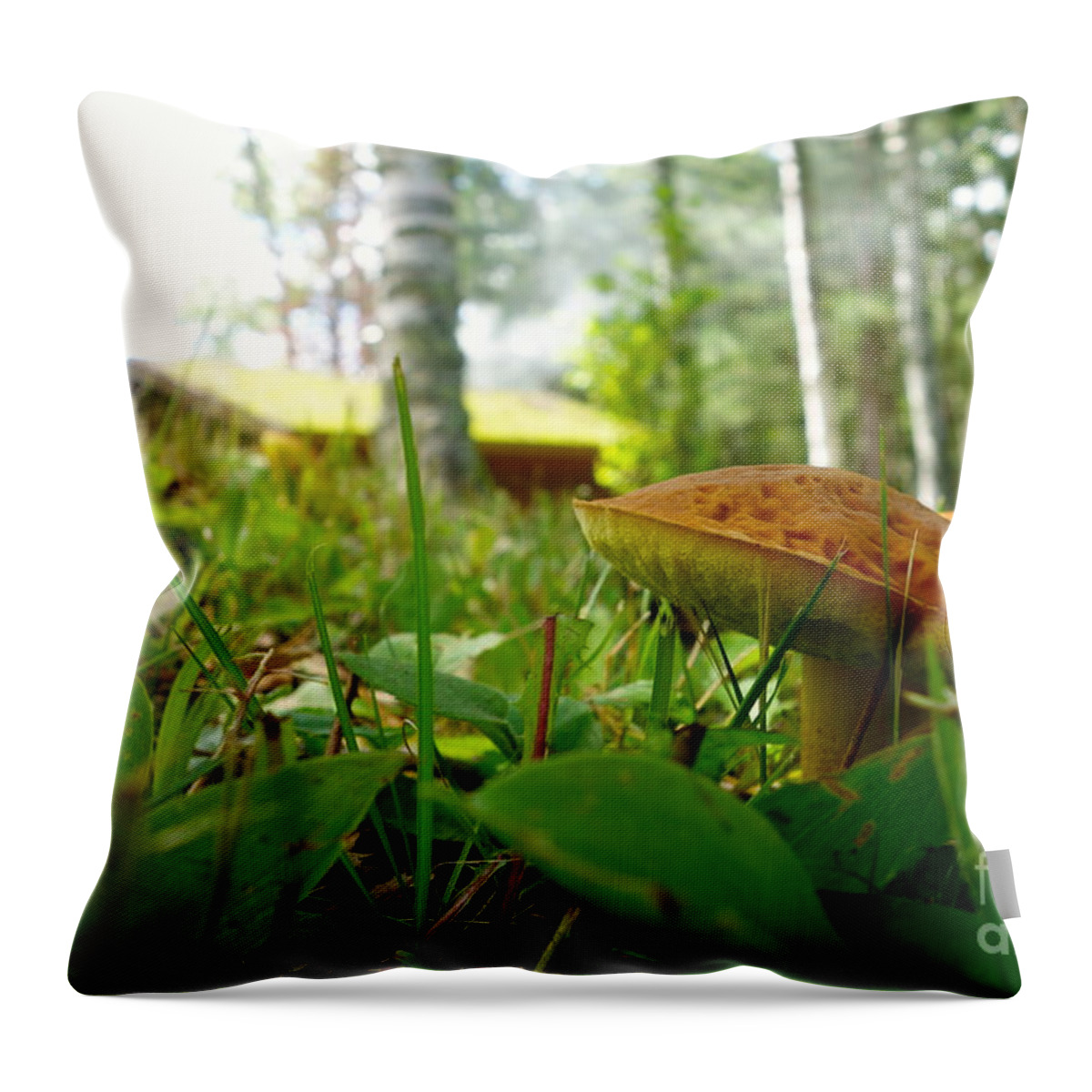 Fungi Throw Pillow featuring the photograph Fairy Home by Jacqueline Athmann