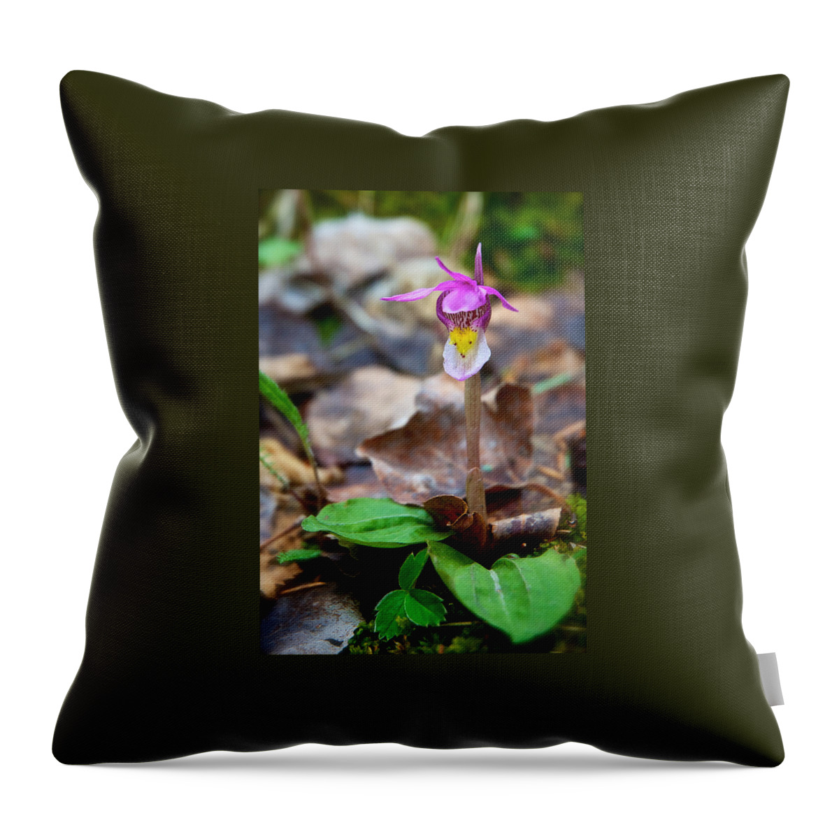 Calypso Throw Pillow featuring the photograph Fairy Slipper Orchid by Mary Lee Dereske
