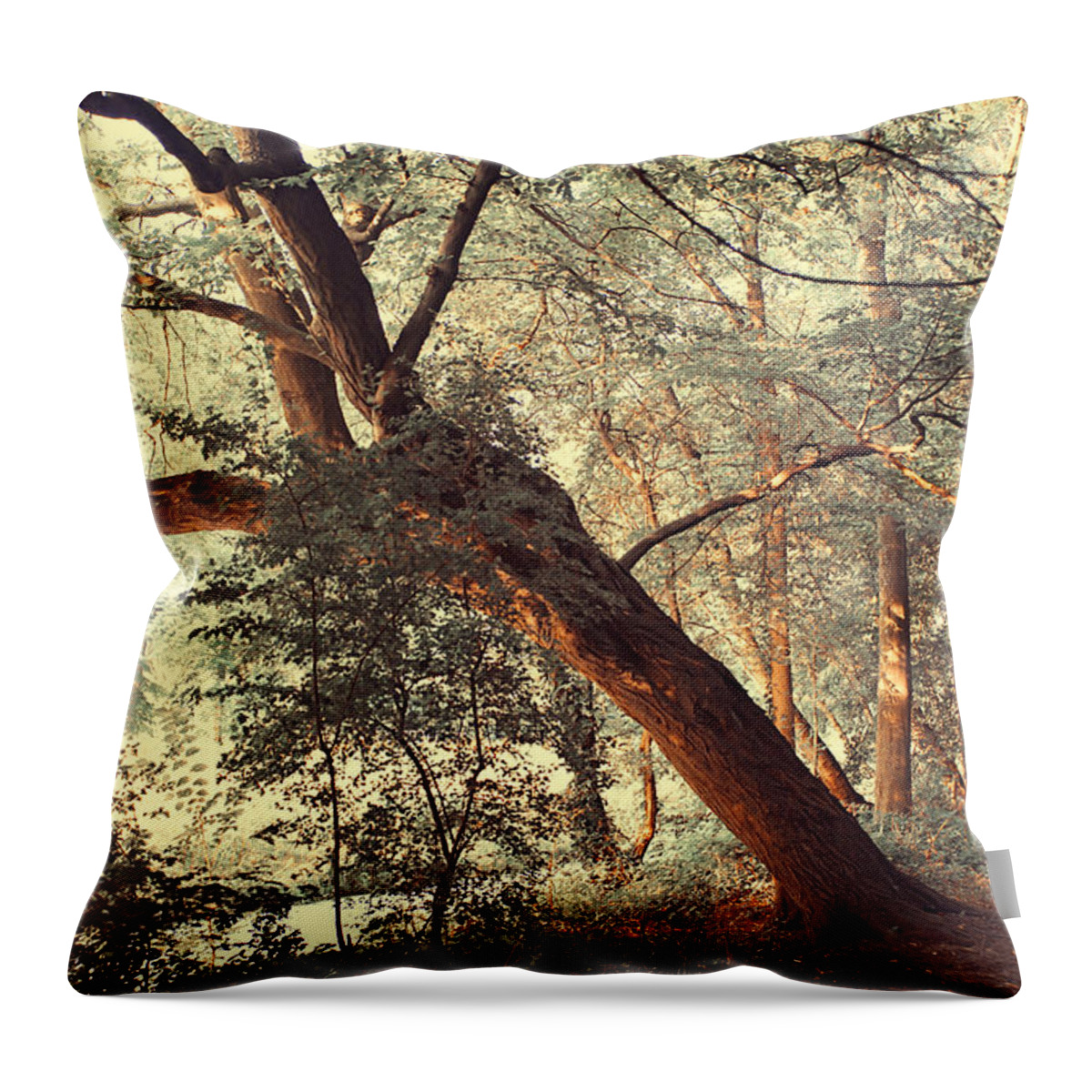 Woods Throw Pillow featuring the photograph Fairy Woods by Jenny Rainbow