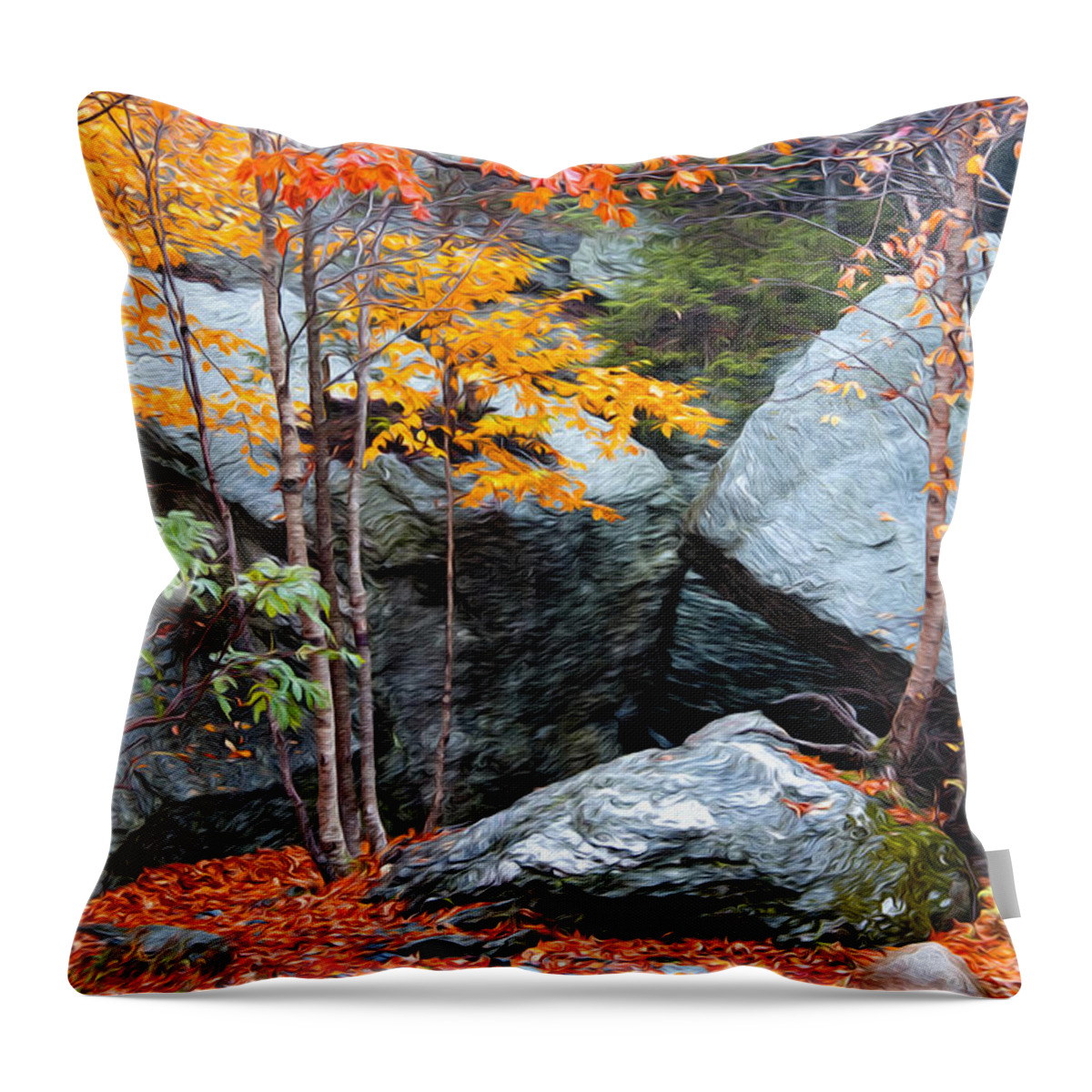 Fall Throw Pillow featuring the photograph Fall Among The Rocks by Bill Howard