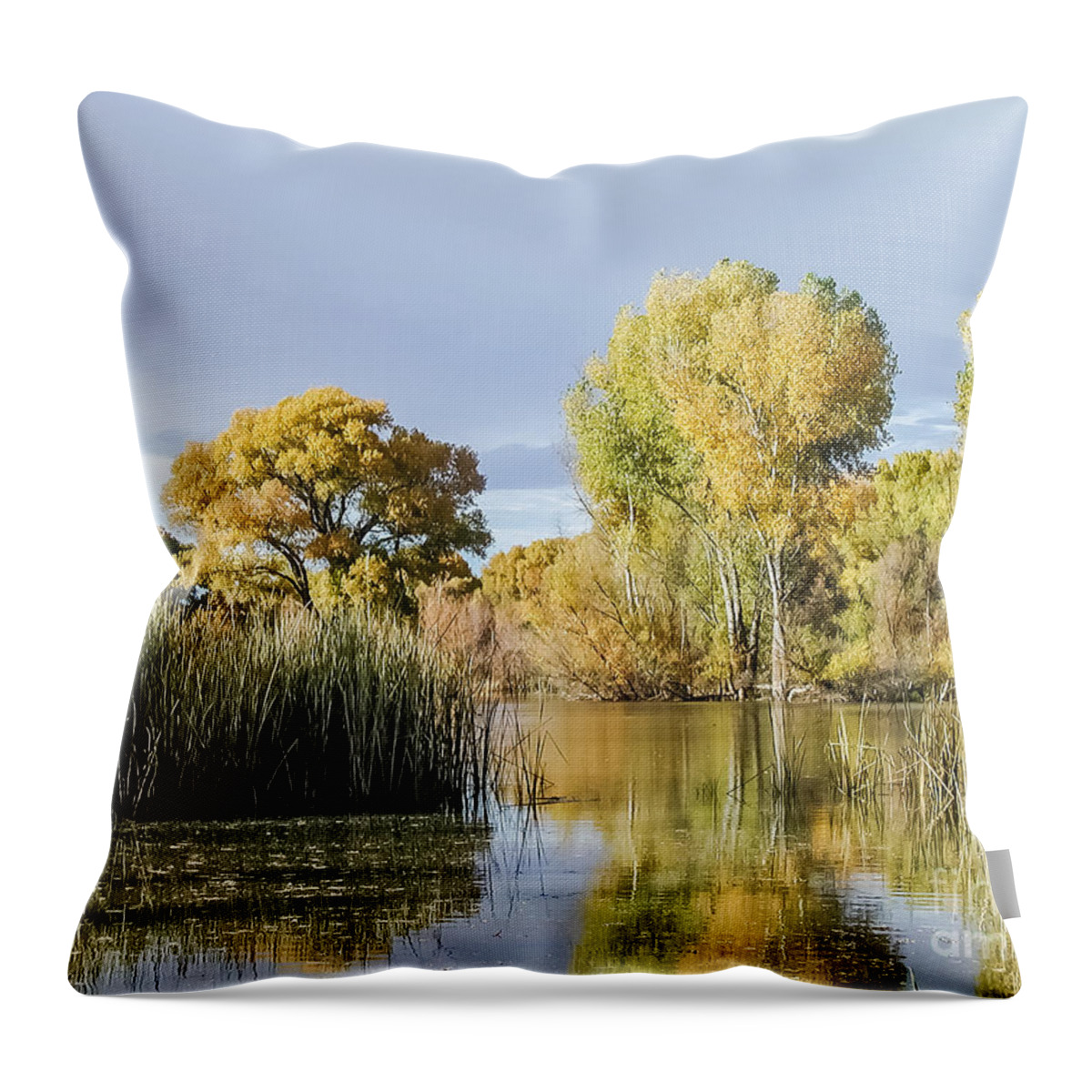 Autumn Throw Pillow featuring the photograph Fall At Kingisher Pond by Al Andersen