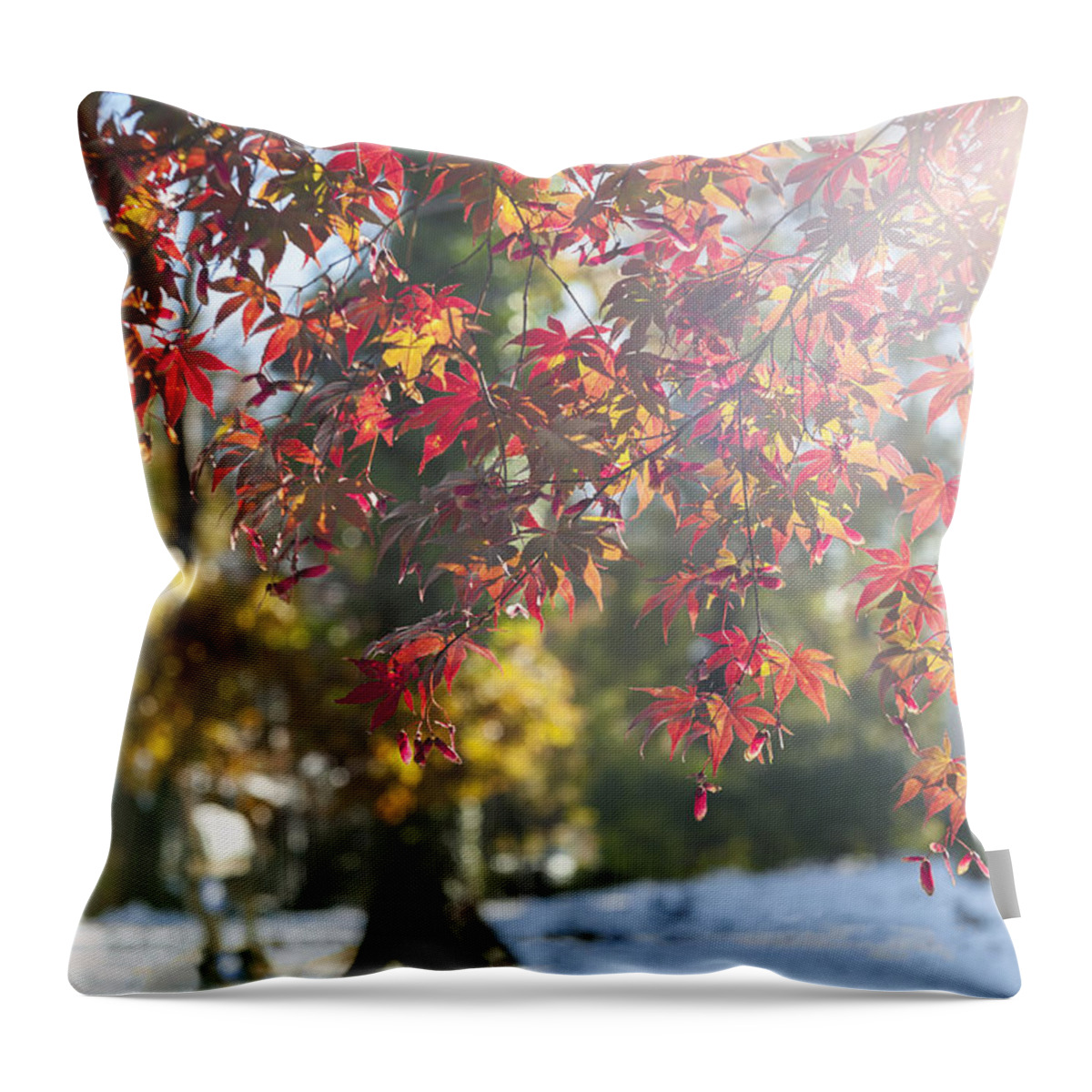 Fall Throw Pillow featuring the photograph Fall Color and Early Snow I by Marianne Campolongo