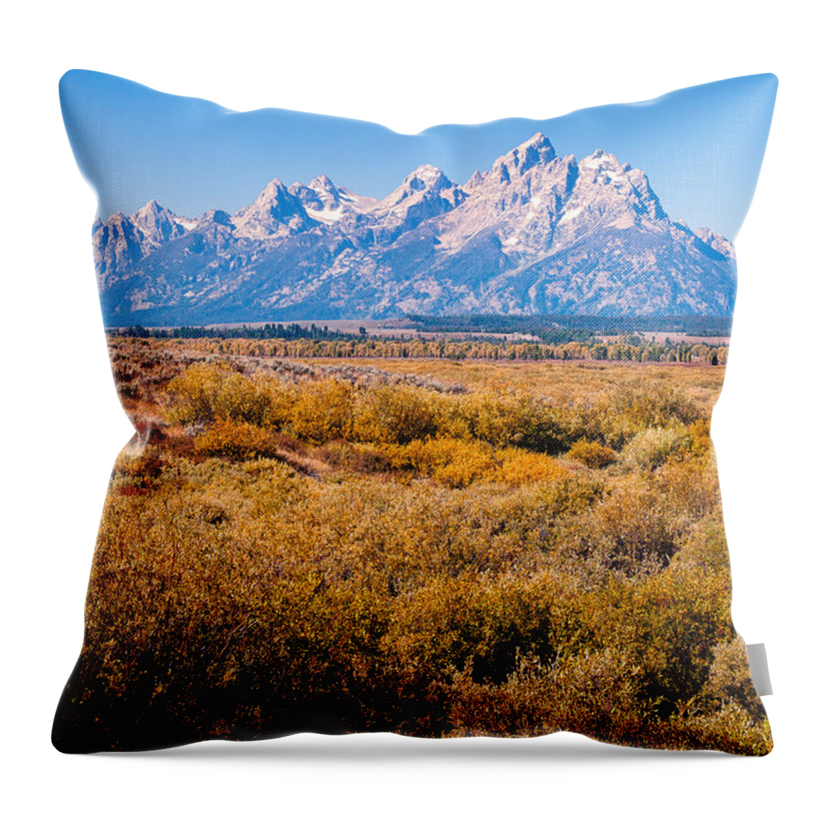 Tetons Throw Pillow featuring the photograph Fall Colors in the Tetons  by Lars Lentz