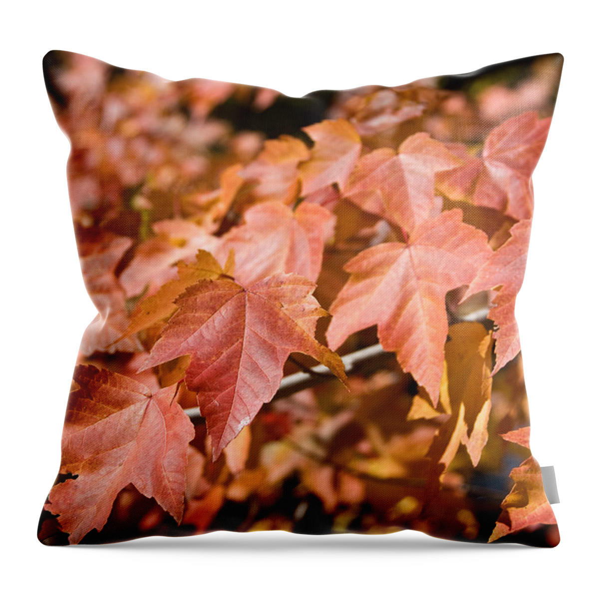 Fall Leaves Throw Pillow featuring the photograph Fall Colors by Shane Kelly
