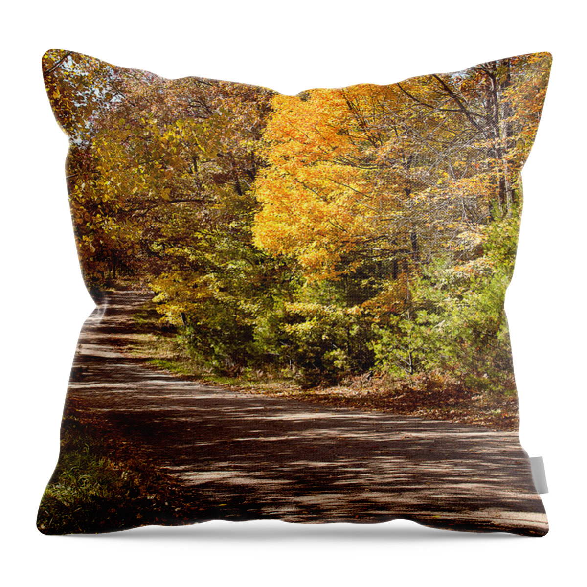 Landscape Throw Pillow featuring the photograph Fall Country Road by Gwen Gibson