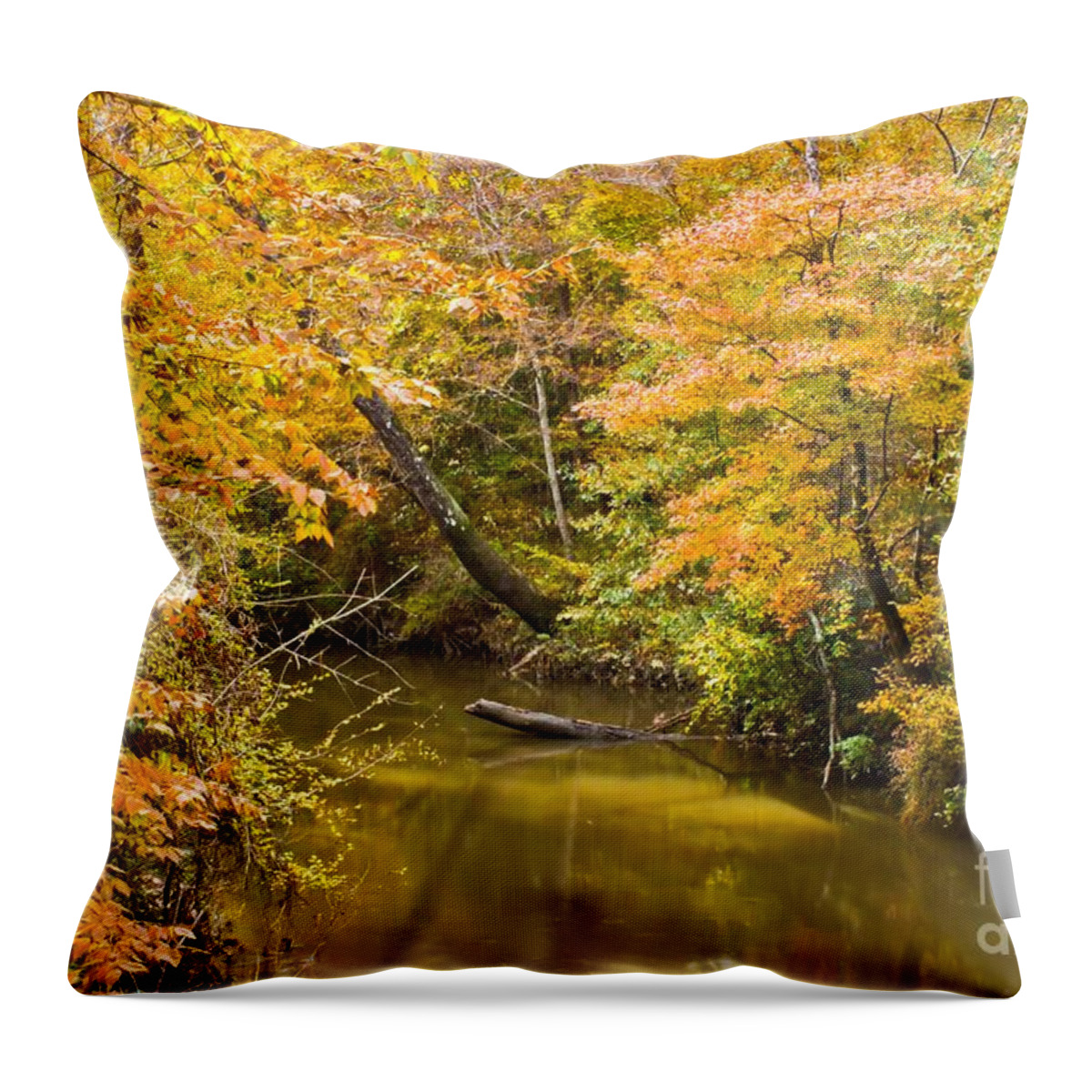 Michael Tidwell Photography Throw Pillow featuring the photograph Fall Creek Foliage by Michael Tidwell