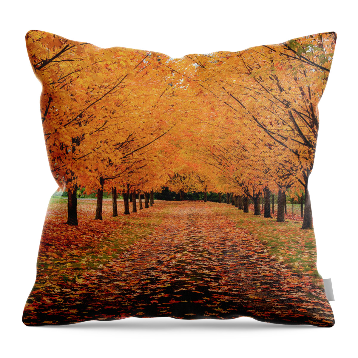 Scenics Throw Pillow featuring the photograph Fall Driveway by Piriya Photography