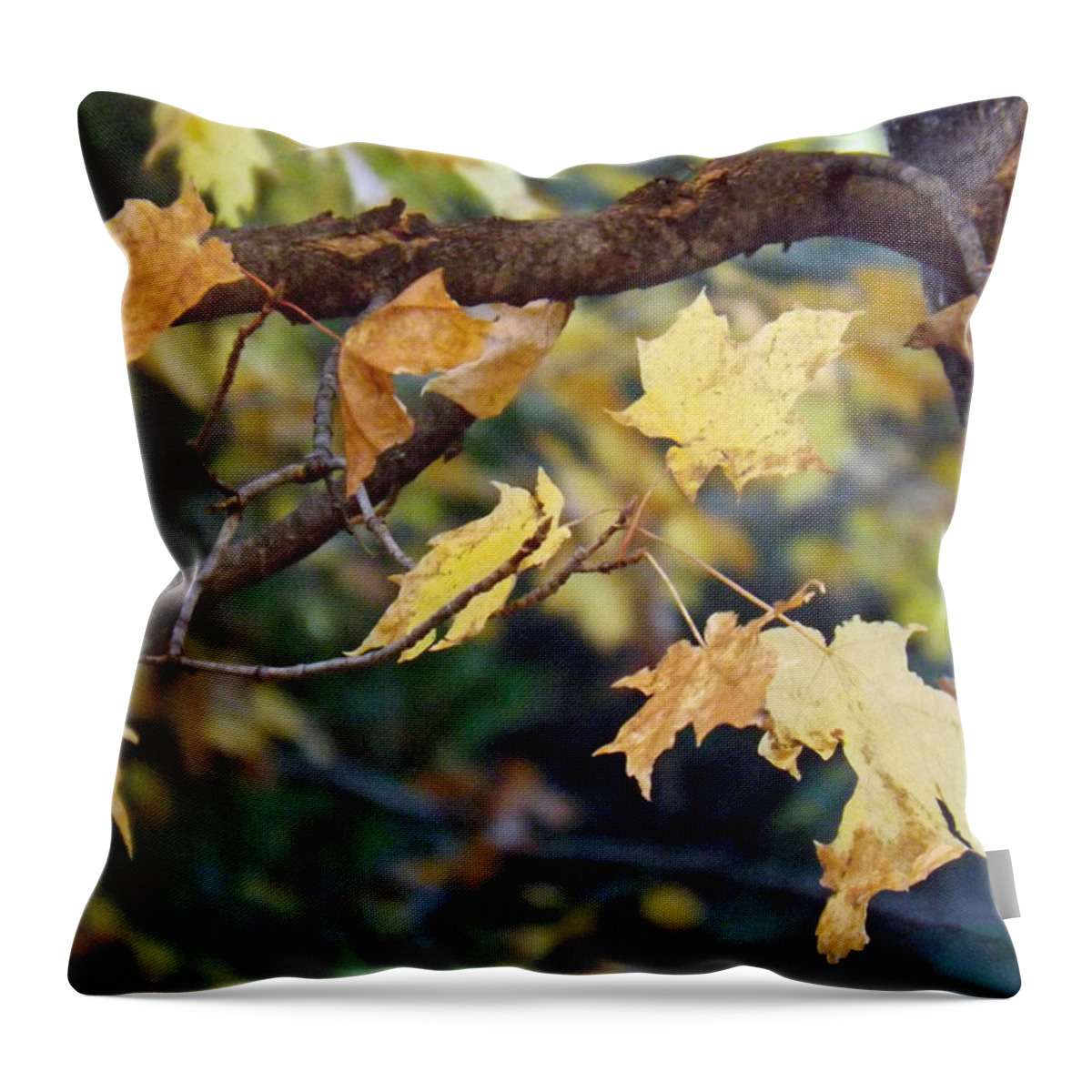 Fall Throw Pillow featuring the photograph Fall Foilage by Brenda Brown