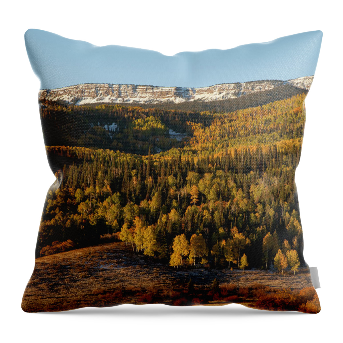 Tranquility Throw Pillow featuring the photograph Fall Foliage And Snow-dusted Peaks by Karen Desjardin