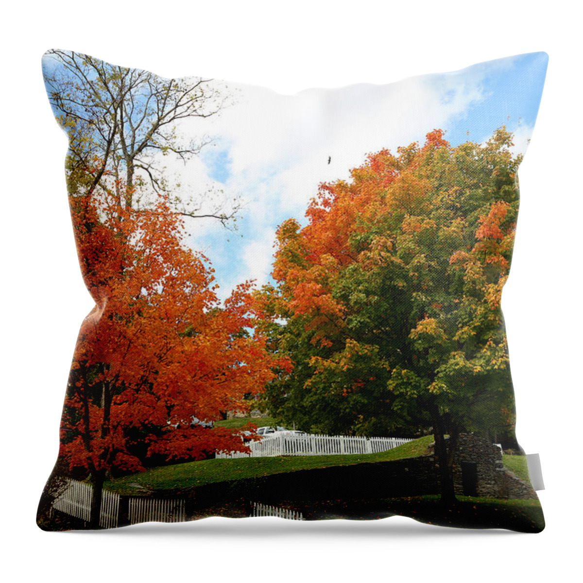 Autumn Throw Pillow featuring the photograph Fall Foliage Colors 09 by Metro DC Photography