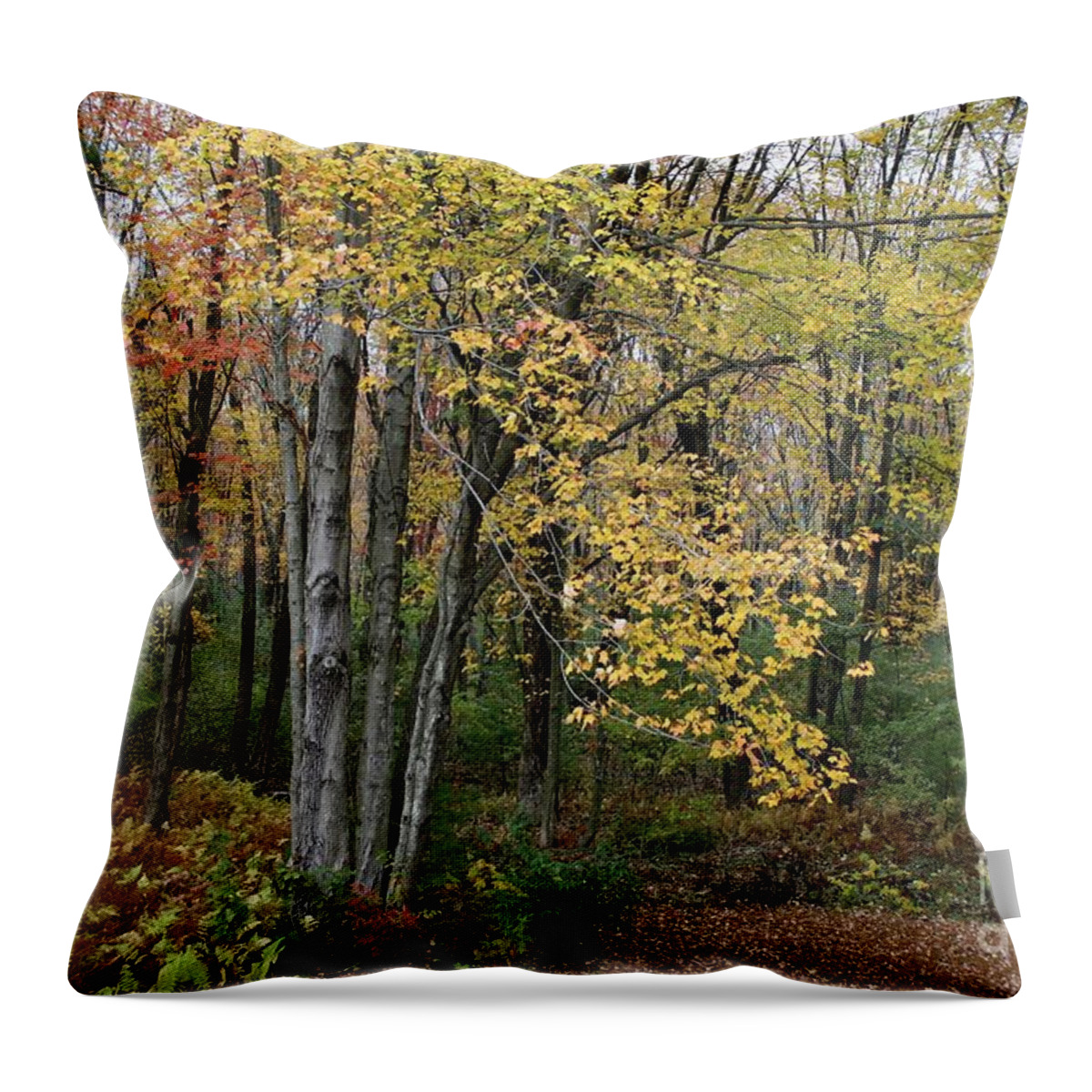 Fall Foliage Throw Pillow featuring the photograph Fall foliage by Jim Gillen