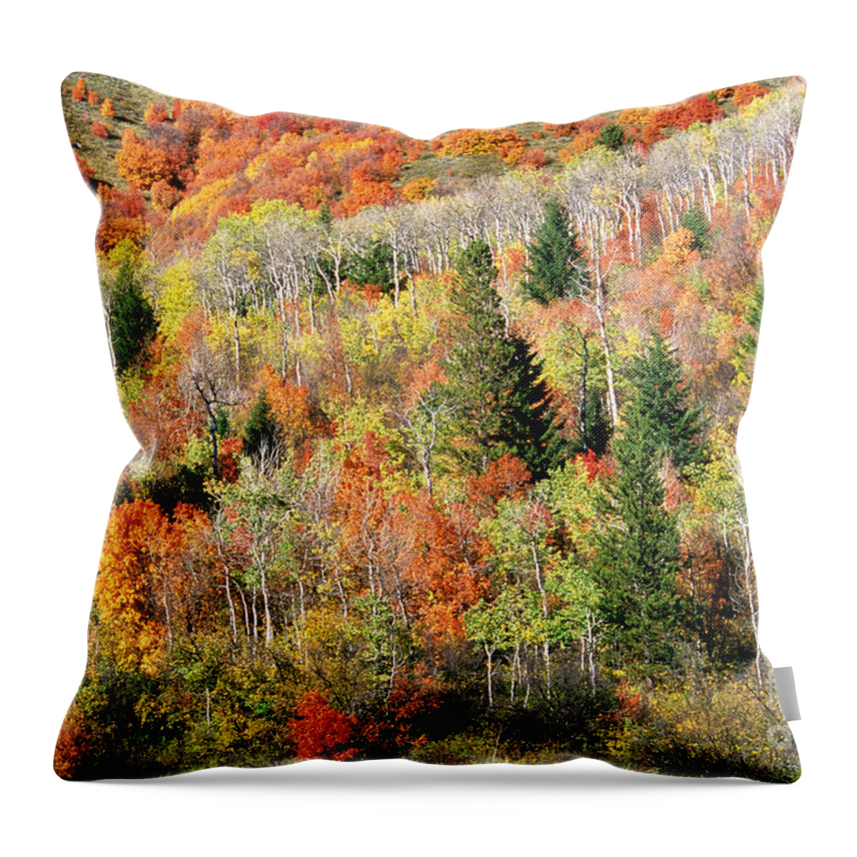 Fall Color Throw Pillow featuring the photograph Fall Foliage by William H. Mullins