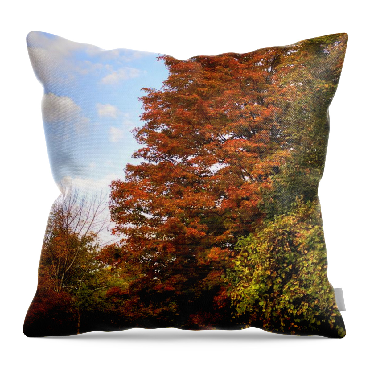 Fall Throw Pillow featuring the photograph Fall Foliage1 by Deborah Ritch