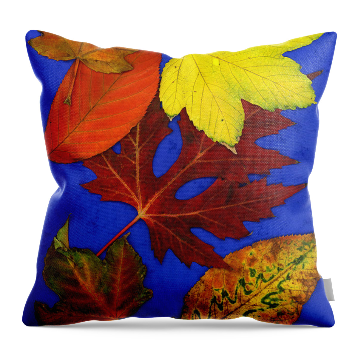 Fall Leaves Throw Pillow featuring the photograph Fall Leaves by AJ Photos