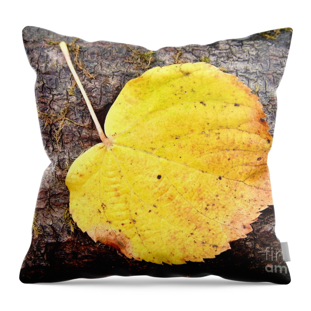 Fall Throw Pillow featuring the photograph Fall love by Karin Ravasio