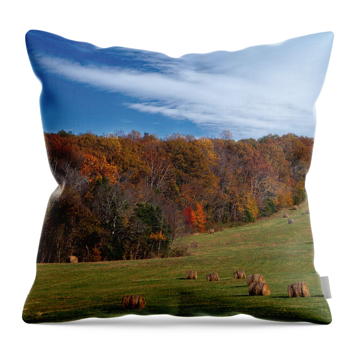 Fall On The Farm Throw Pillow featuring the photograph Fall on the Farm by Jemmy Archer