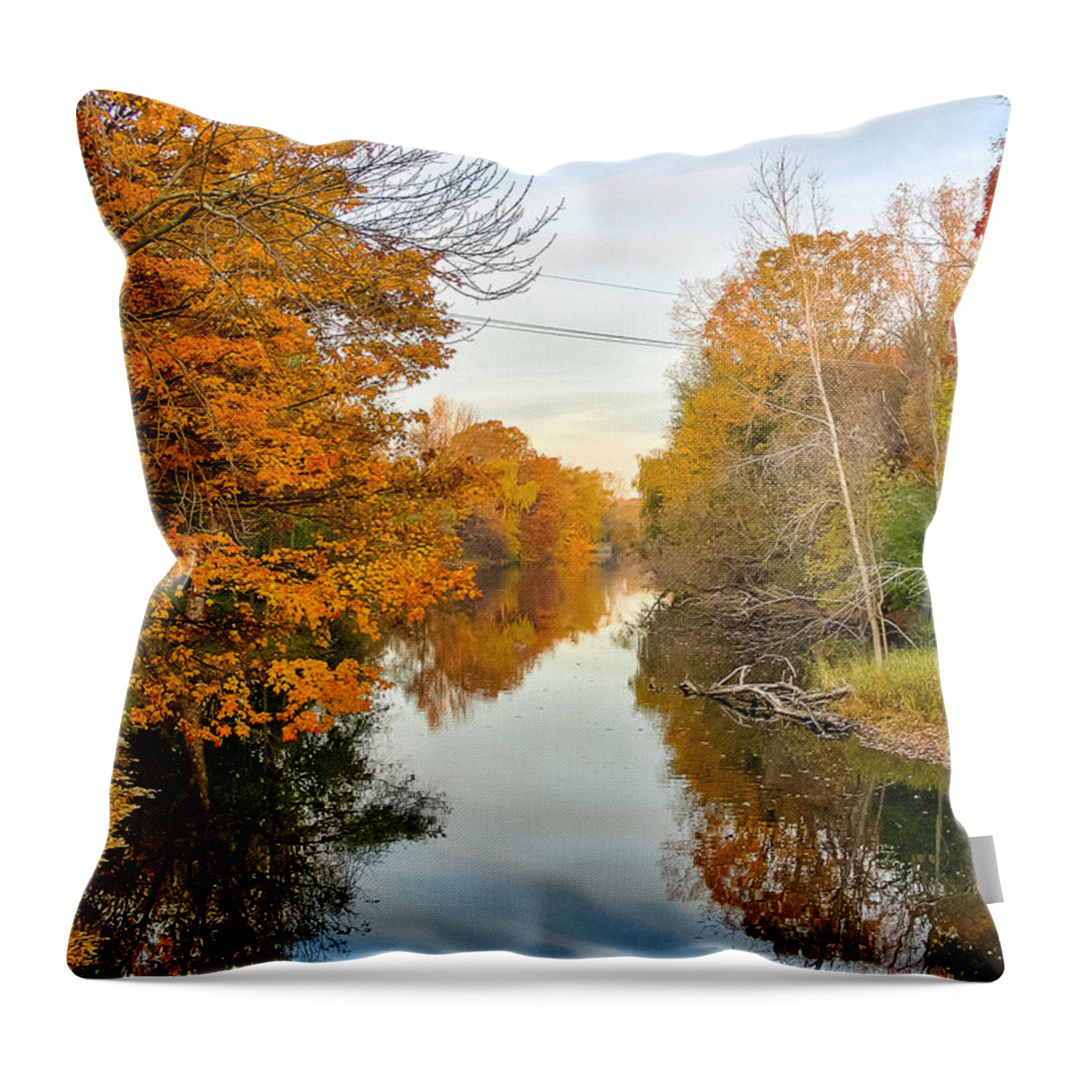 Michigan Throw Pillow featuring the photograph Fall on the Red Cedar by Lars Lentz