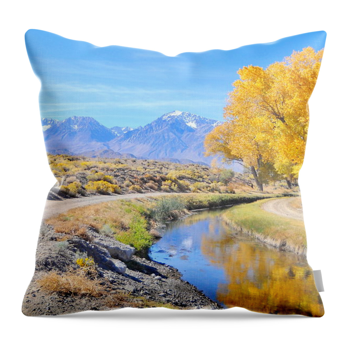 Fall Throw Pillow featuring the photograph Fall Reflections by Marilyn Diaz
