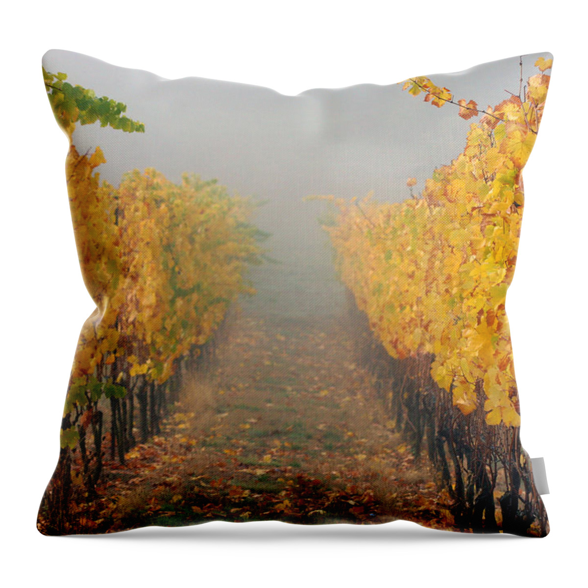 Grape Throw Pillow featuring the photograph Fall Vines by Jean Noren