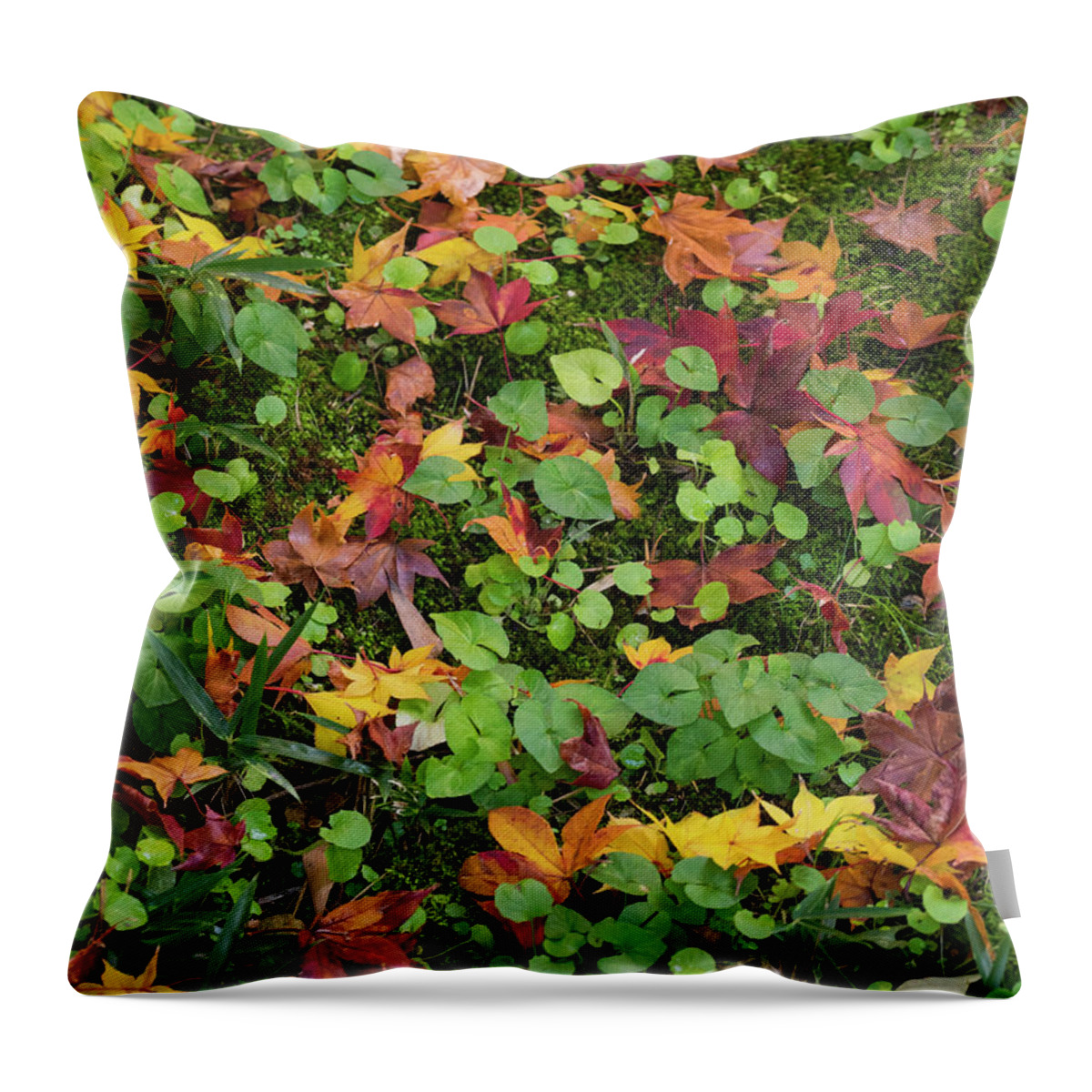 Photography Throw Pillow featuring the photograph Fallen Autumnal Leaves On Ground by Panoramic Images