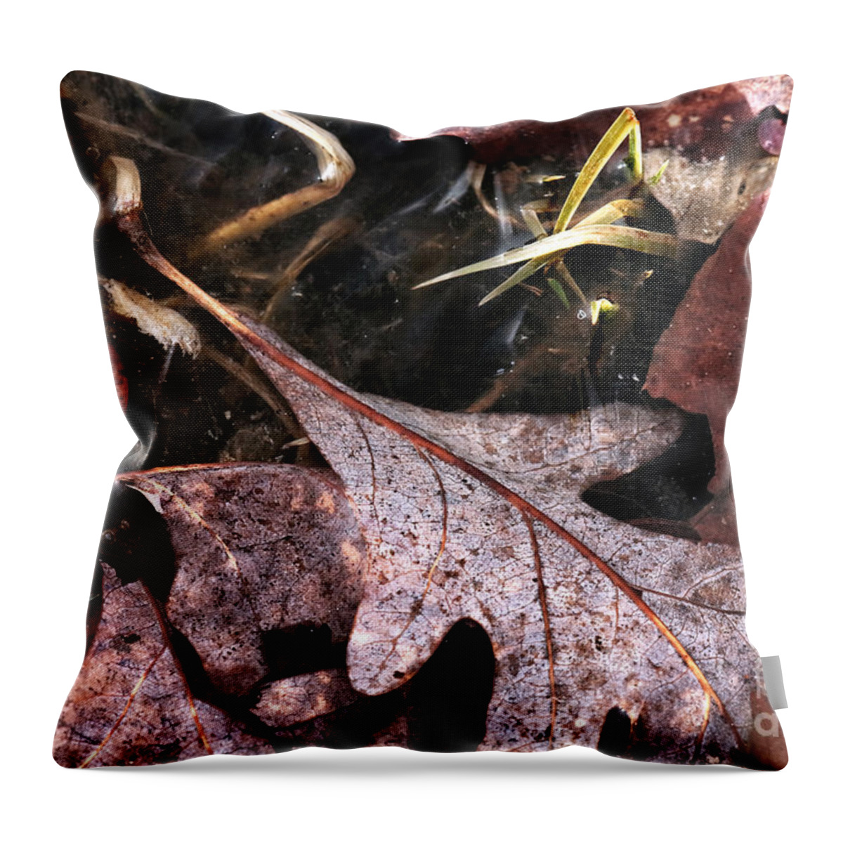 Fallen Leaves Throw Pillow featuring the photograph Fallen Leaves by John Rizzuto