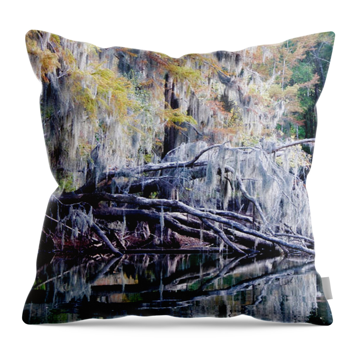 Uncertain Throw Pillow featuring the photograph Fallen Reflection by Lana Trussell