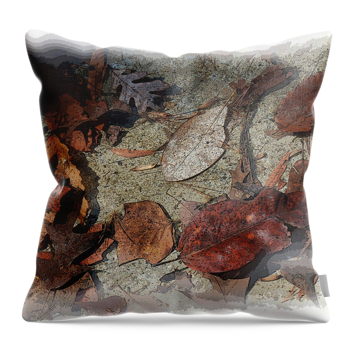 Fall Leaves Throw Pillow featuring the photograph Falling Leaves by Don Wright