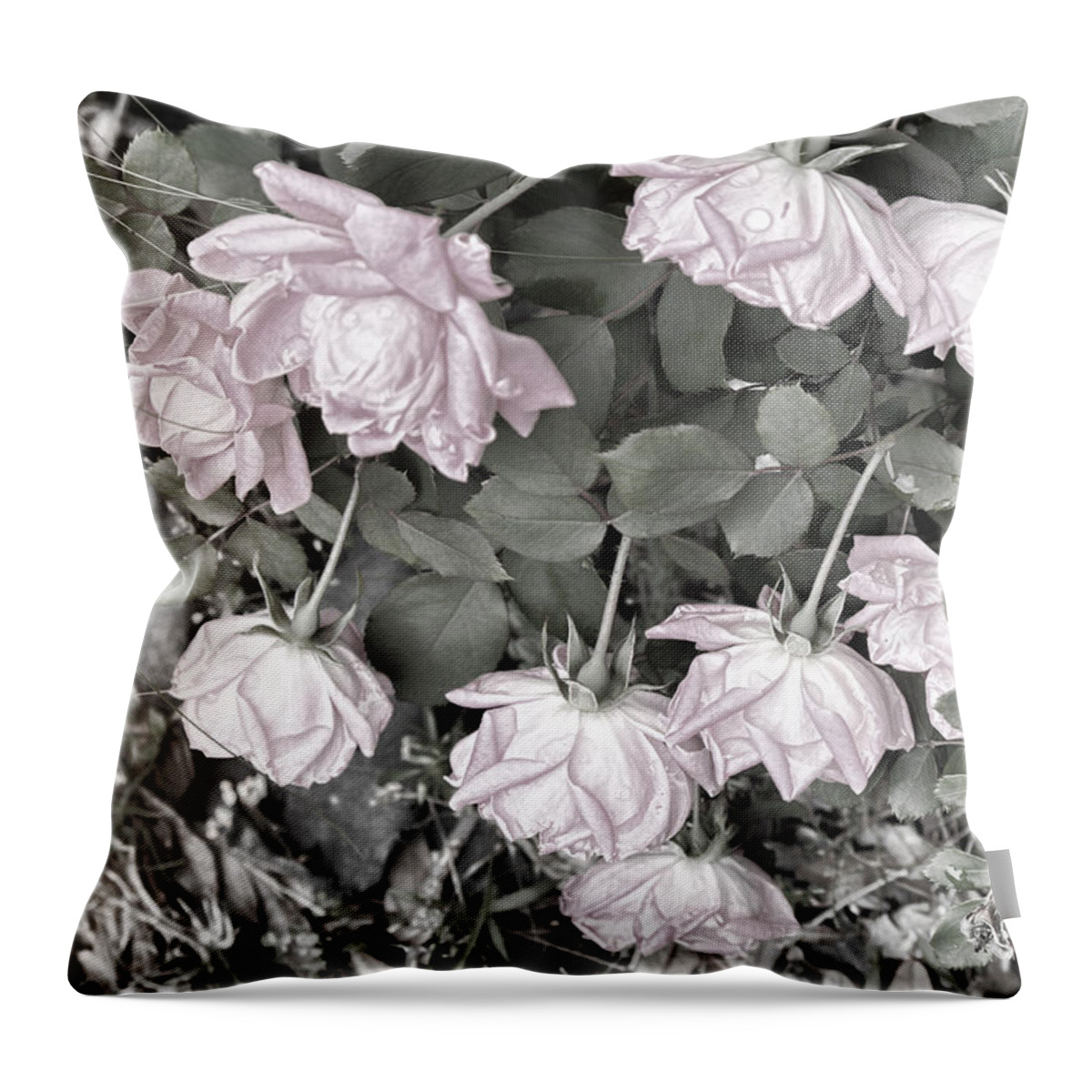 Roses Throw Pillow featuring the digital art Falling Roses by Bonnie Willis