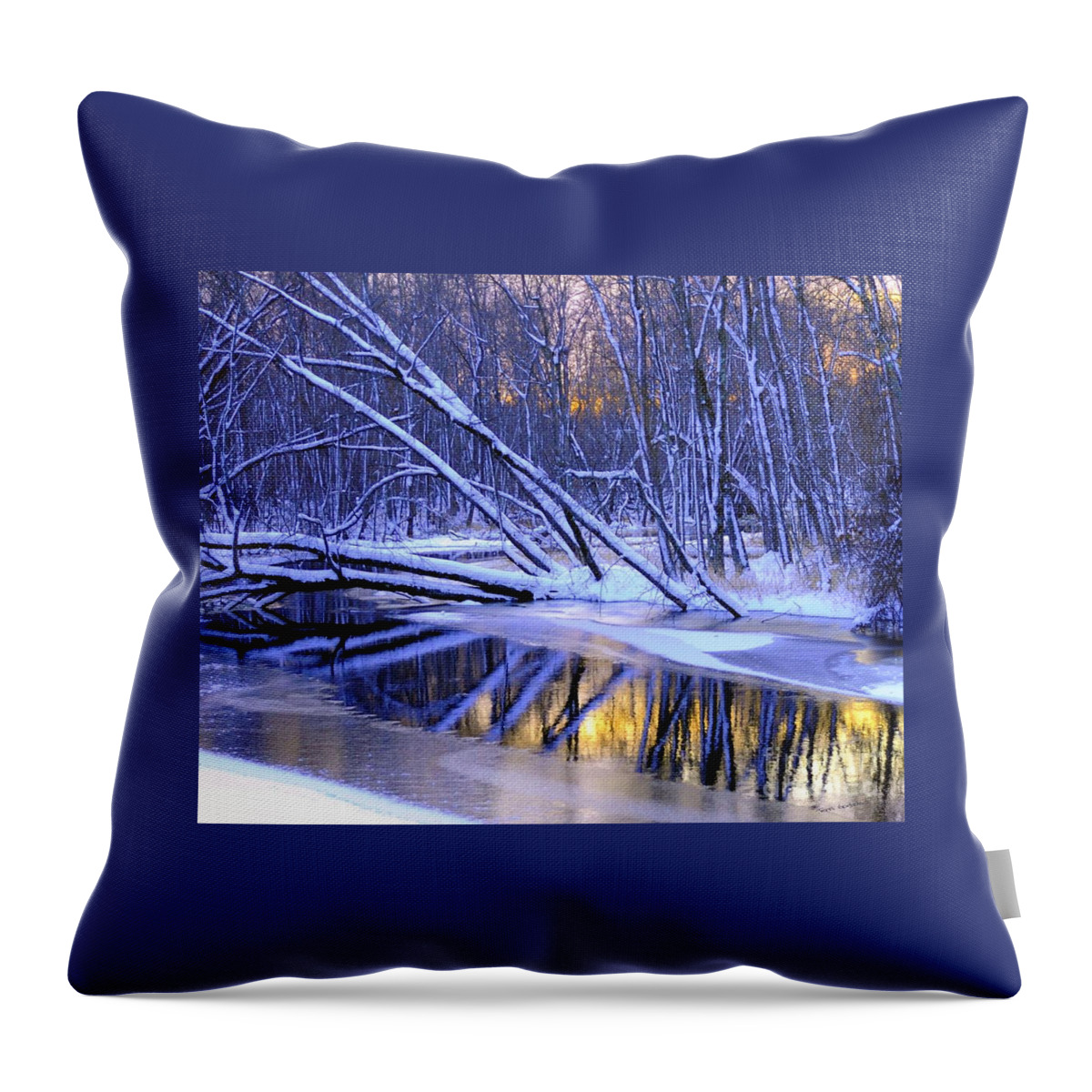 Snow Throw Pillow featuring the photograph Falling by Terri Gostola