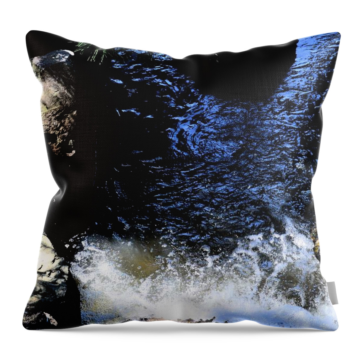 Falling Waters Throw Pillow featuring the photograph Falling waters by Luther Fine Art