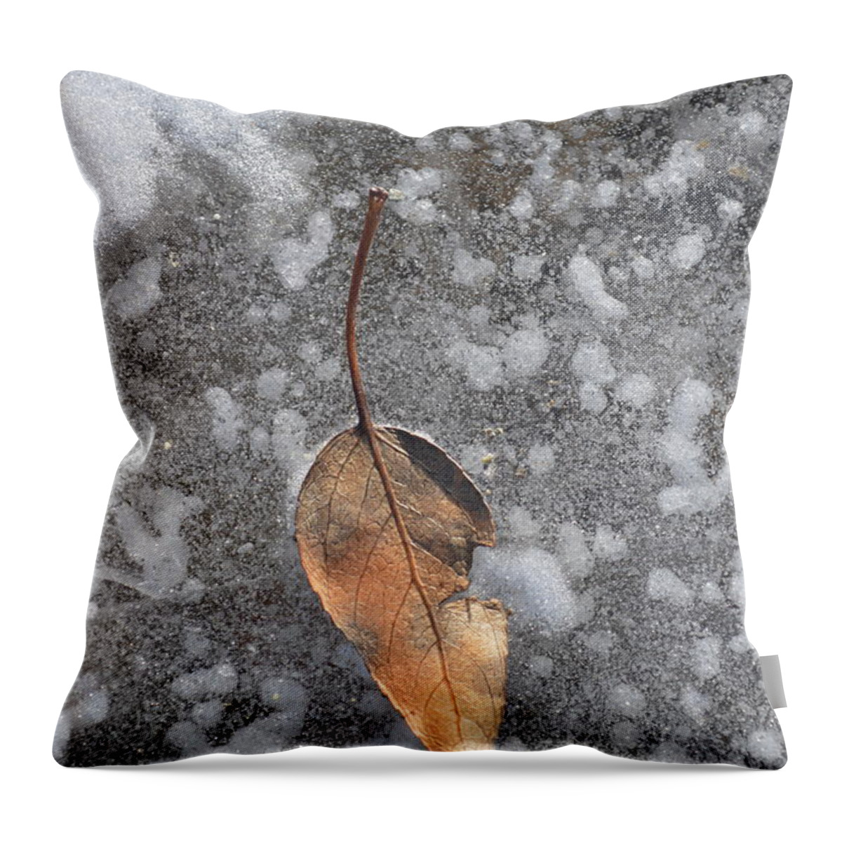 Fall Throw Pillow featuring the photograph Fall's fallen meets spring sunshine by Brian Boyle