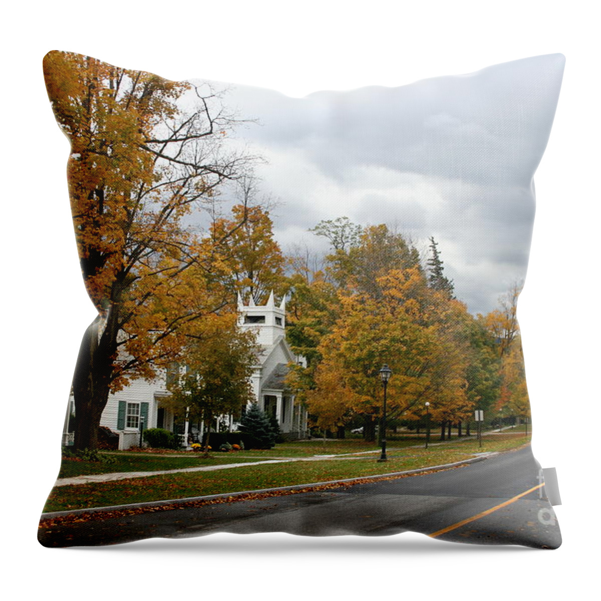 Indian Summer Throw Pillow featuring the photograph Autumn Trees At the Roadside by Christiane Schulze Art And Photography