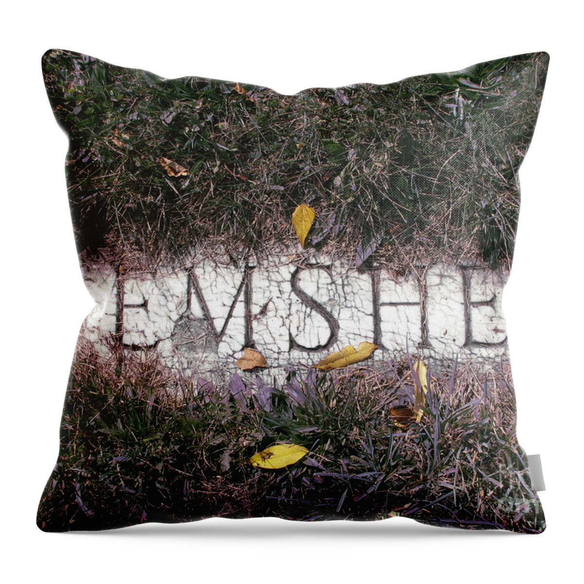 Tombstone Throw Pillow featuring the photograph Family Crest by Michael Krek