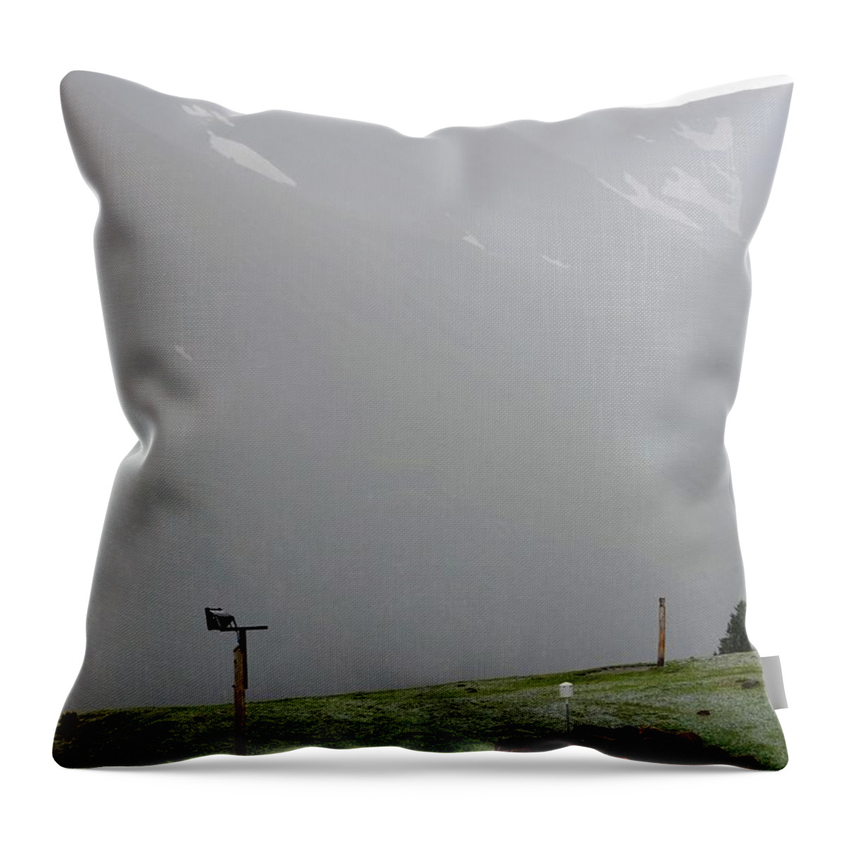 Horses Throw Pillow featuring the photograph Family of horses in the Pyrenees by Toby McGuire