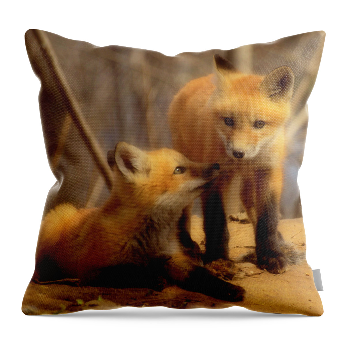 Red Foxes Throw Pillow featuring the photograph Family by Thomas Young