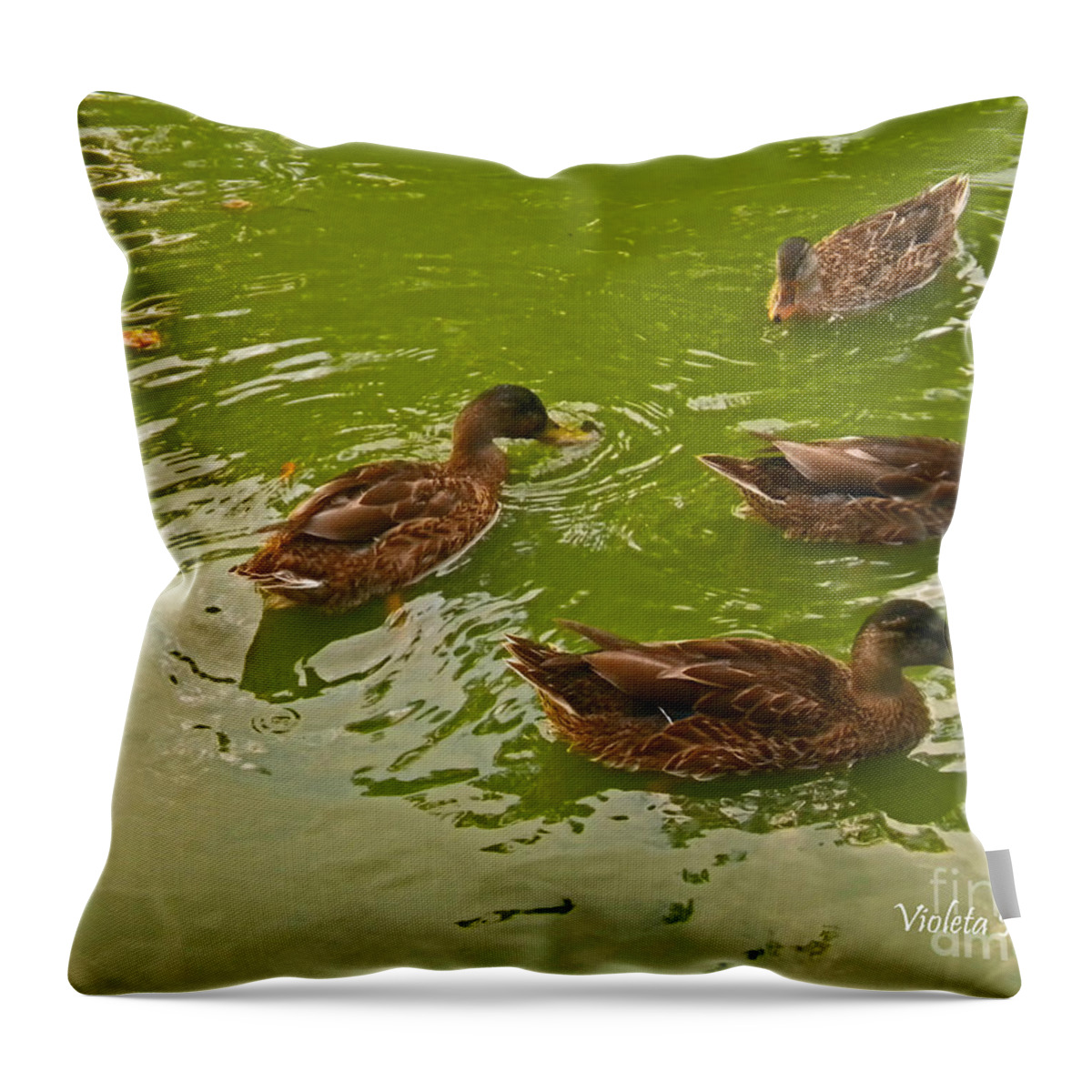 Ducks Throw Pillow featuring the photograph Family Time by Violeta Ianeva