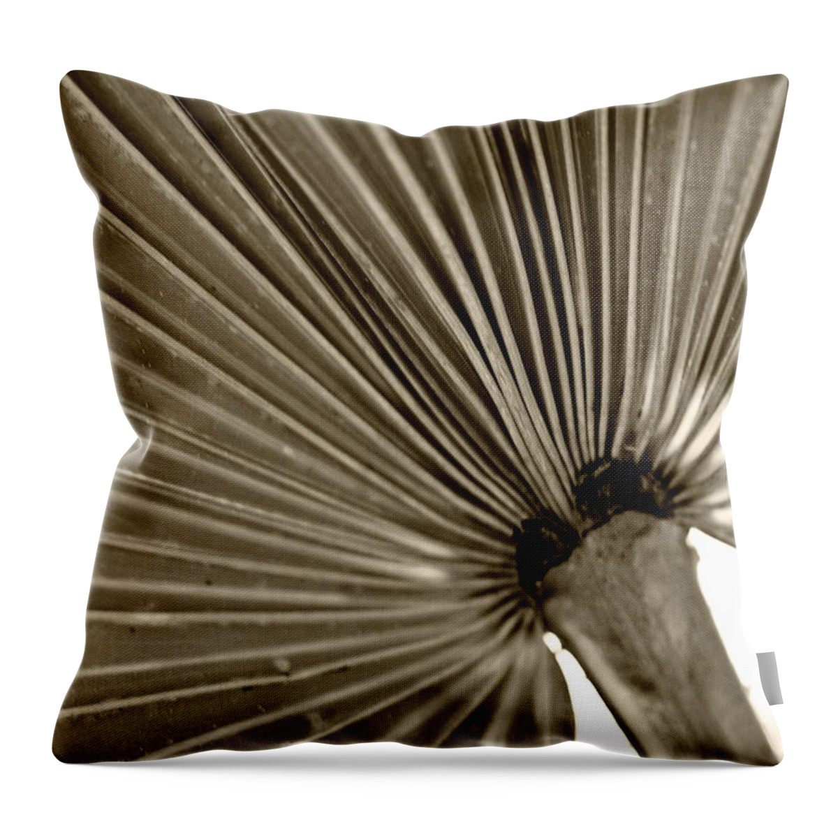 Botanical Throw Pillow featuring the photograph Fan Me by Melinda Ledsome