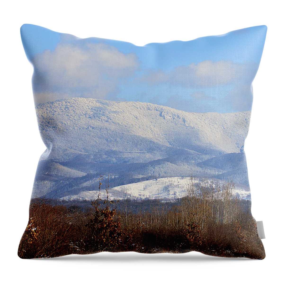 Alps Throw Pillow featuring the photograph Fanciful Winter scene by Felicia Tica