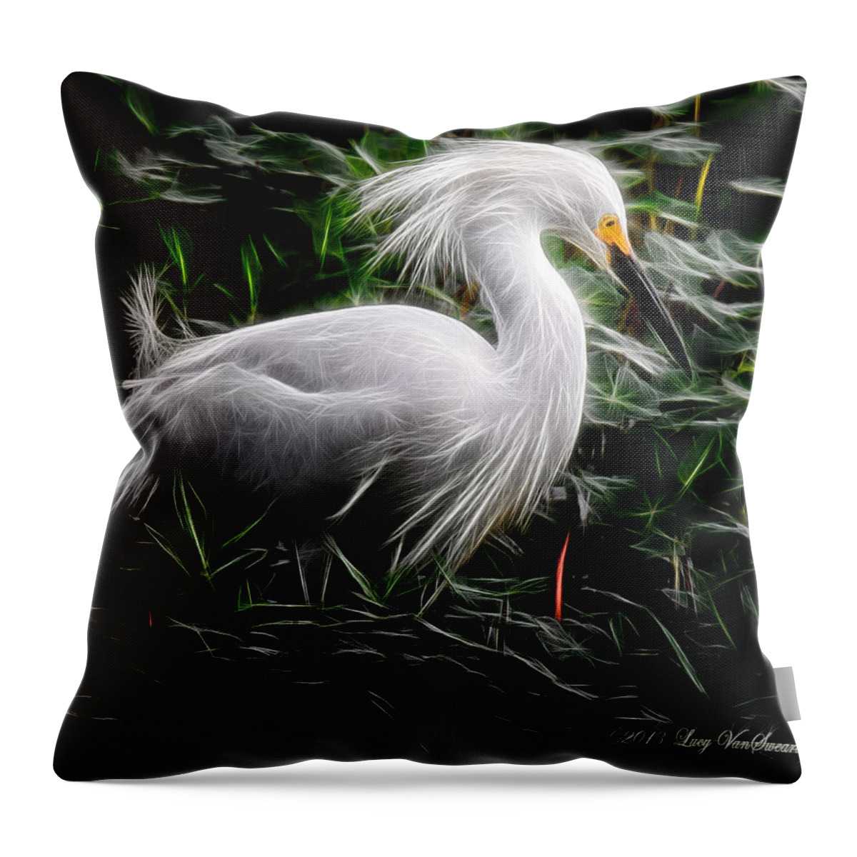 Egret Throw Pillow featuring the photograph Fancy Feathers by Lucy VanSwearingen