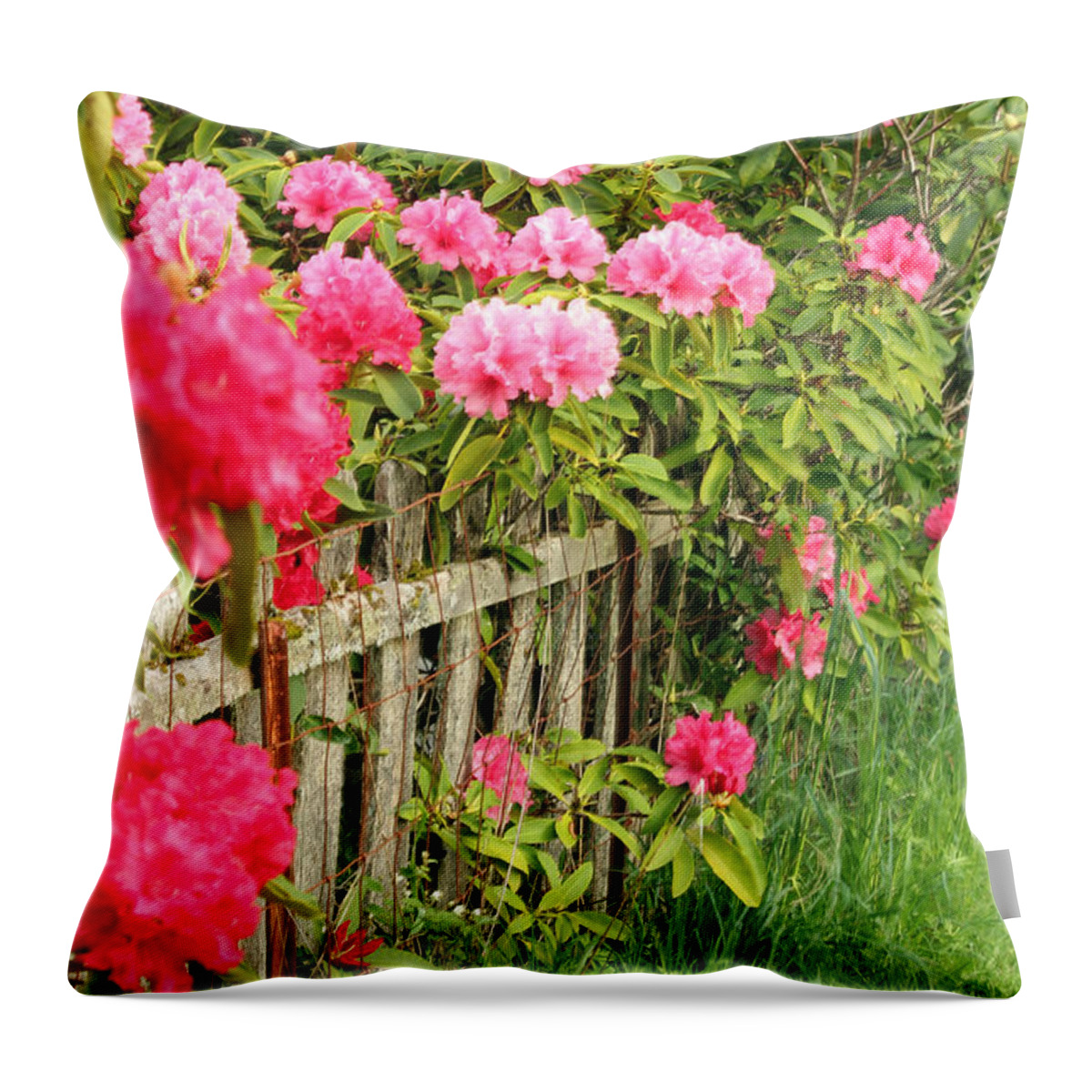 Rhodies In Bloom Throw Pillow featuring the photograph Fancy Fence by E Faithe Lester