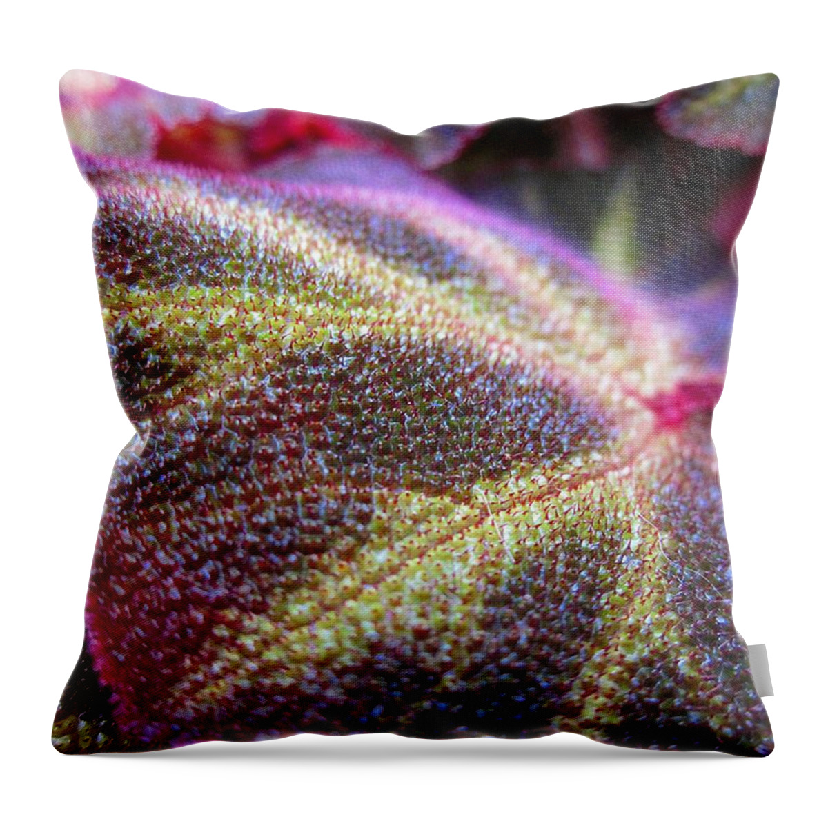 Leaf Throw Pillow featuring the photograph Fancy Leaf by MTBobbins Photography