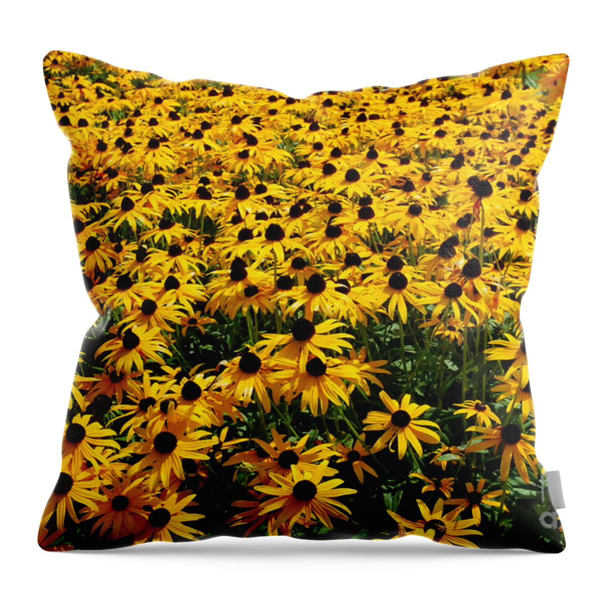 Field Of Yellow Flowers Throw Pillow featuring the photograph Far as The Eye Can See by Eunice Miller