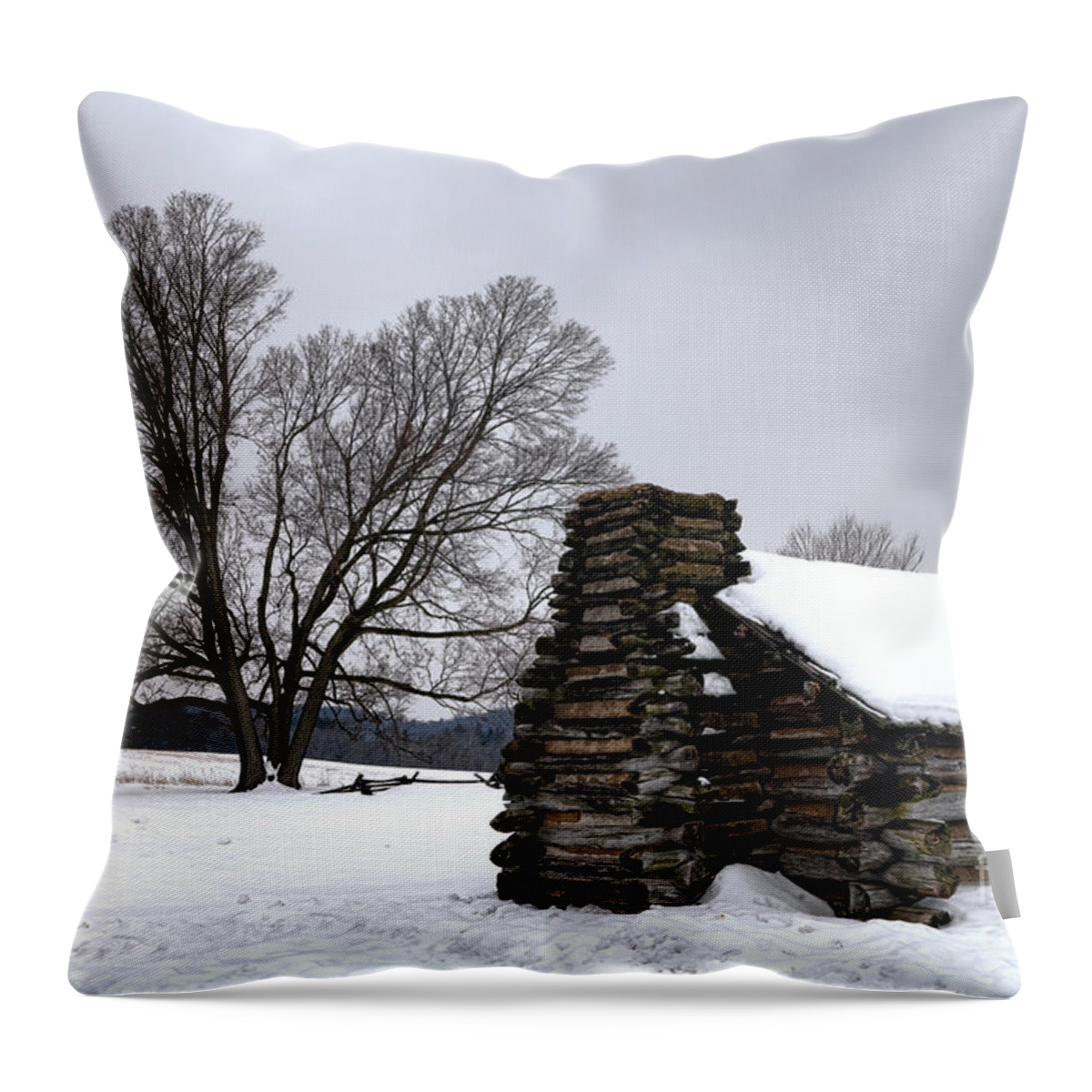 Valley Throw Pillow featuring the photograph Far from the Battle by Olivier Le Queinec