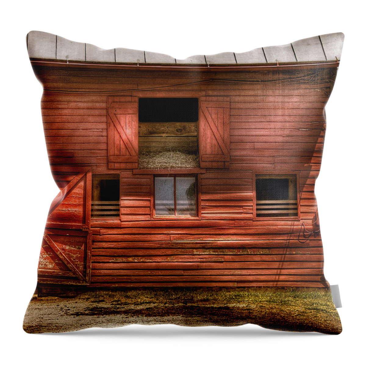 Savad Throw Pillow featuring the photograph Farm - Barn - Visiting the Farm by Mike Savad
