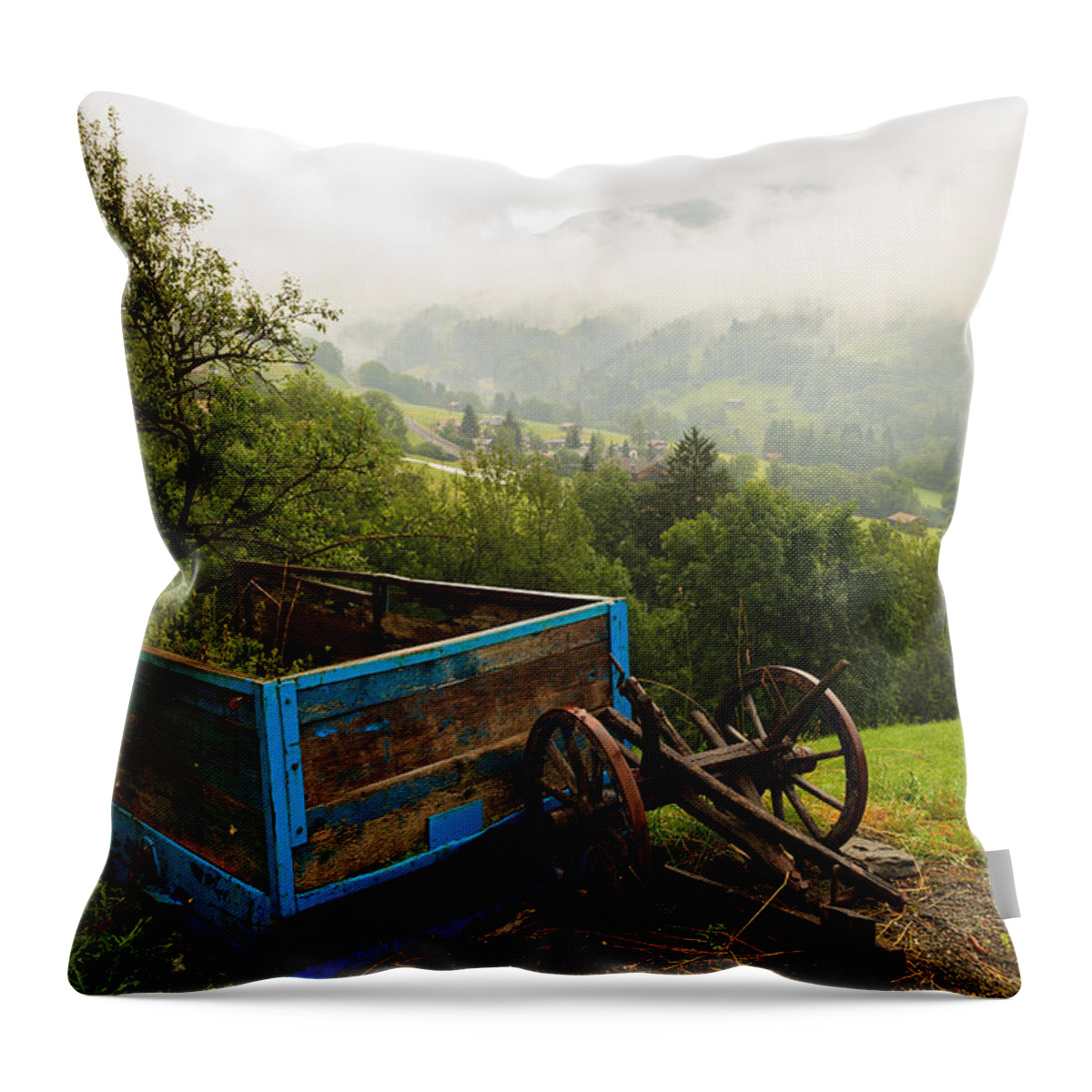 Bavarian Throw Pillow featuring the photograph Farm Carriage by Raul Rodriguez