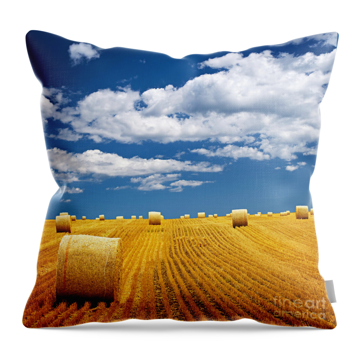 Agriculture Throw Pillow featuring the photograph Farm field with hay bales by Elena Elisseeva