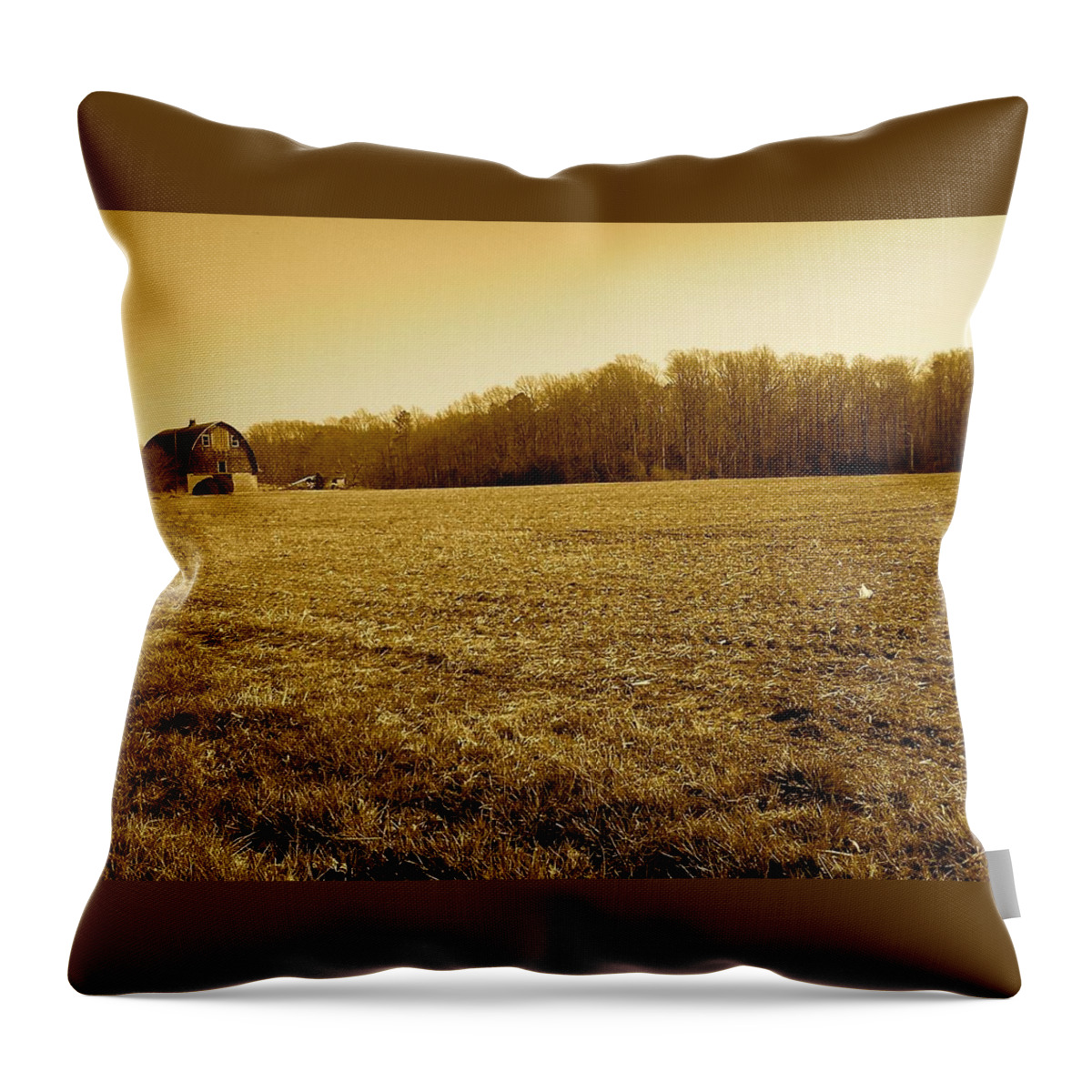Farm Throw Pillow featuring the photograph Farm Field With Old Barn in Sepia by Chris W Photography AKA Christian Wilson