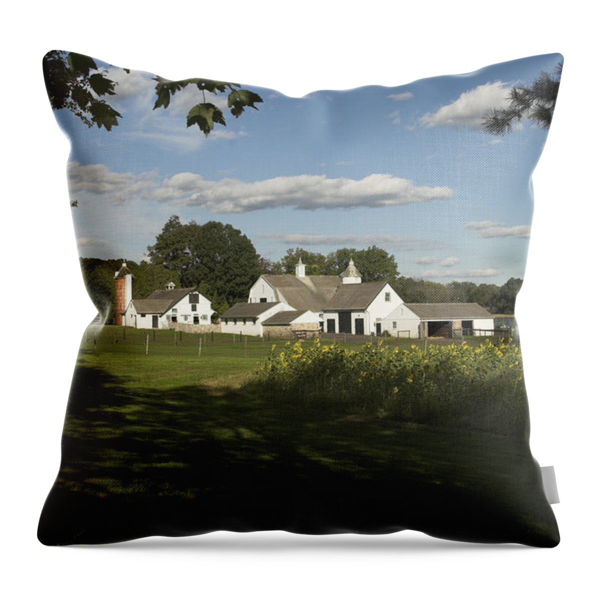 Landscape Throw Pillow featuring the photograph Farm House in PA by Paul Ross