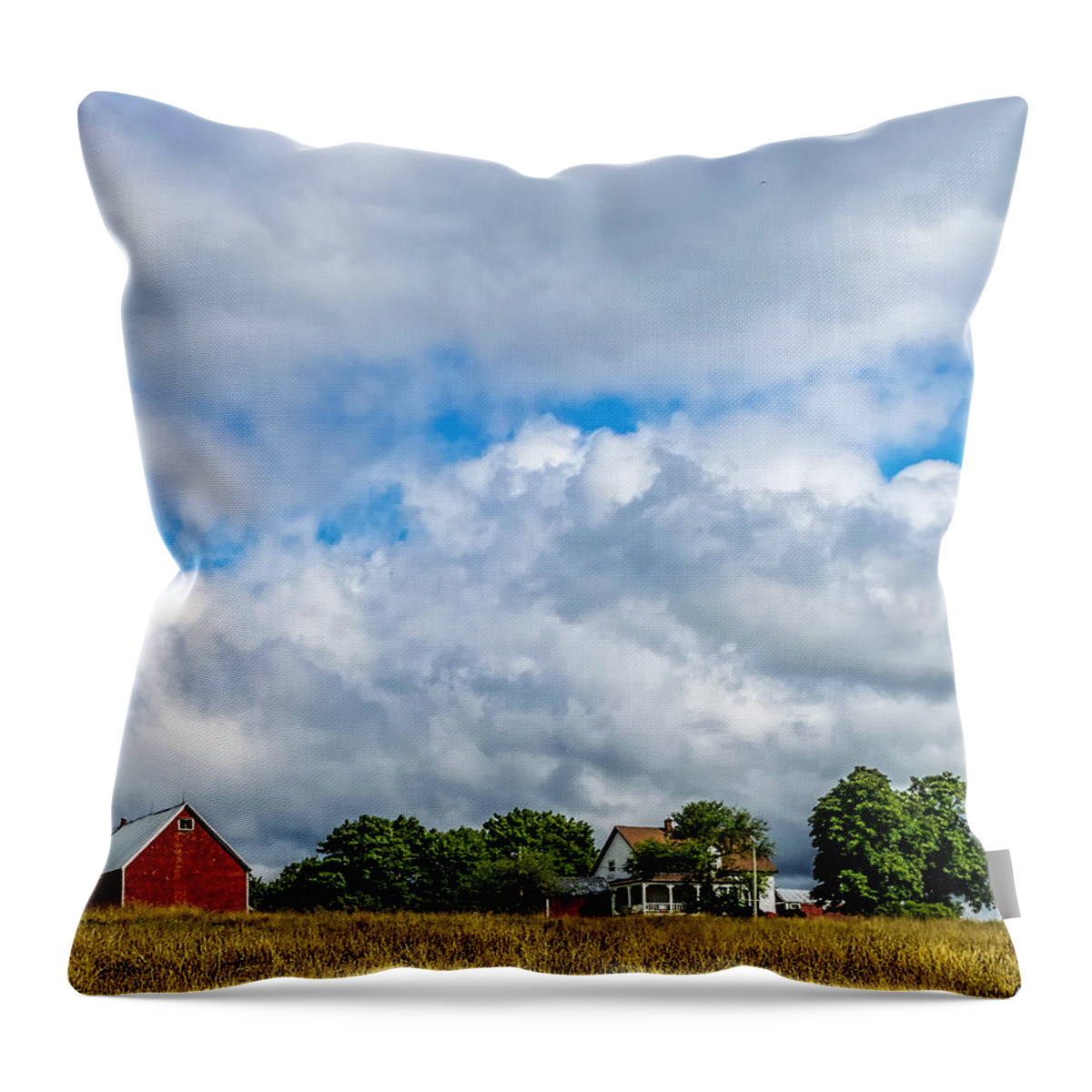 2014 Throw Pillow featuring the photograph Farm in Cape Breton by Ken Morris