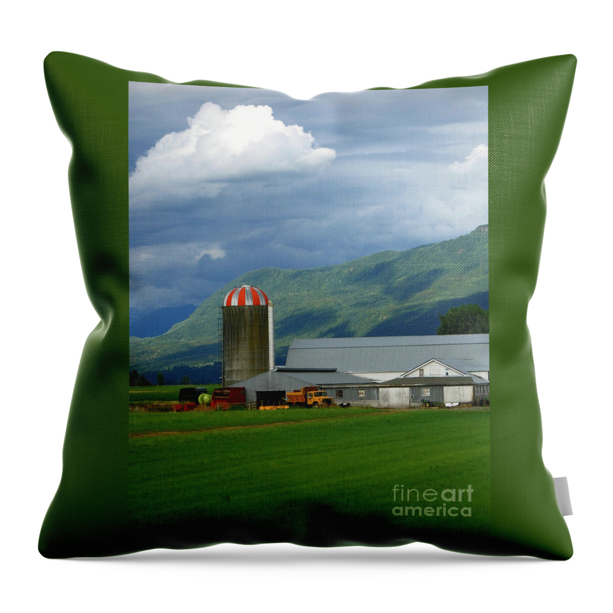 Farm Throw Pillow featuring the photograph Farm in the Valley by Ann Horn